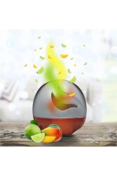 Air Wick Decosphere Mango ve Turunç Oda Kokusu 2x75 ml - 7