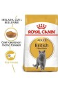 Royal Canin British Shorthair Yetişkin Kedi Maması 2kg - 1