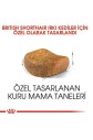 Royal Canin British Shorthair Yetişkin Kedi Maması 2kg - 2
