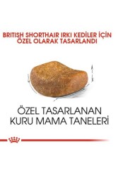 Royal Canin British Shorthair Yetişkin Kedi Maması 2kg - 2