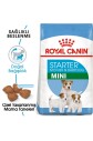 Royal Canin Dog Shn Mini Starter Mother/babydog Köpek Maması 4 Kg - 1