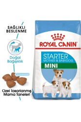 Royal Canin Dog Shn Mini Starter Mother/babydog Köpek Maması 4 Kg - 1