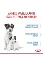 Royal Canin Dog Shn Mini Starter Mother/babydog Köpek Maması 4 Kg - 4