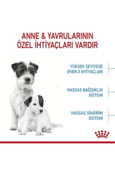 Royal Canin Dog Shn Mini Starter Mother/babydog Köpek Maması 4 Kg - 4