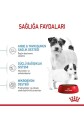 Royal Canin Dog Shn Mini Starter Mother/babydog Köpek Maması 4 Kg - 5
