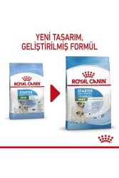 Royal Canin Dog Shn Mini Starter Mother/babydog Köpek Maması 4 Kg - 6