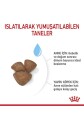 Royal Canin Dog Shn Mini Starter Mother/babydog Köpek Maması 4 Kg - 7