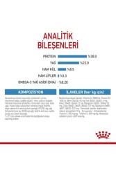 Royal Canin Dog Shn Mini Starter Mother/babydog Köpek Maması 4 Kg - 8