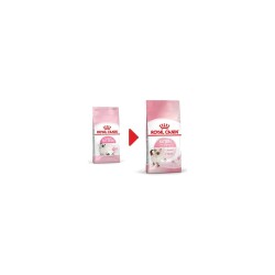 Royal Canin Kitten Yavru Kedi Maması 2 Kg - 3