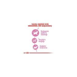 Royal Canin Kitten Yavru Kedi Maması 2 Kg - 6