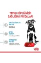 Royal Canin Maxi Puppy Büyük Irk Yavru Köpek Maması 15 Kg - 5