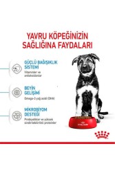 Royal Canin Maxi Puppy Büyük Irk Yavru Köpek Maması 15 Kg - 5