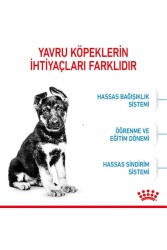 Royal Canin Maxi Puppy Büyük Irk Yavru Köpek Maması 15 Kg - 7