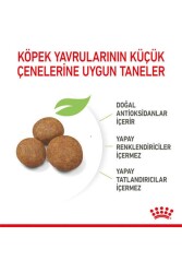 Royal Canin Maxi Puppy Büyük Irk Yavru Köpek Maması 15 Kg - 8