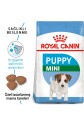 Royal Canin Mini Puppy Küçük Irk Yavru Köpek Maması 4kg - 1