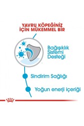 Royal Canin Mini Puppy Küçük Irk Yavru Köpek Maması 4kg - 4