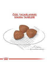 Royal Canin Mini Puppy Küçük Irk Yavru Köpek Maması 4kg - 7