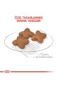 Royal Canin® Mini Yetişkin Köpek Maması 2 Kg - 4