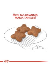 Royal Canin® Mini Yetişkin Köpek Maması 2 Kg - 4