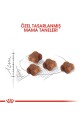 Royal Canin® Mother & Babycat Yavru Kedi Maması 4 Kg - 3