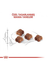 Royal Canin® Mother & Babycat Yavru Kedi Maması 4 Kg - 3