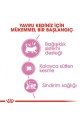 Royal Canin® Mother & Babycat Yavru Kedi Maması 4 Kg - 5