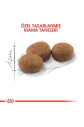 Royal Canin Sterilised Kısırlaştırılmış Kedi Maması 10 Kg - 5