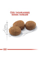 Royal Canin Sterilised Kısırlaştırılmış Kedi Maması 10 Kg - 5